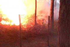 Blaze