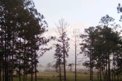 Clouds