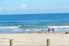 beachweb1